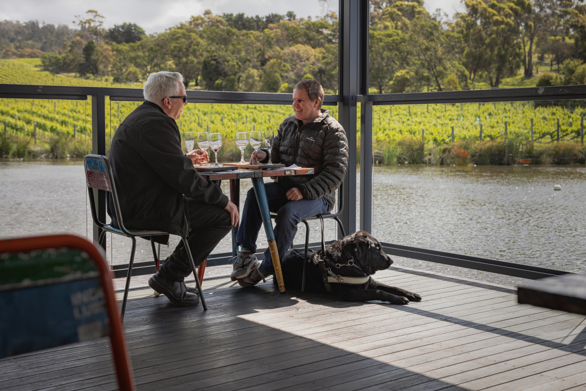 塔斯马尼亚州，里奇蒙，普德莱达克葡萄园，两名男子坐在葡萄园里品尝葡萄酒，带着一只导盲犬 © Deanna Bond 版权所有