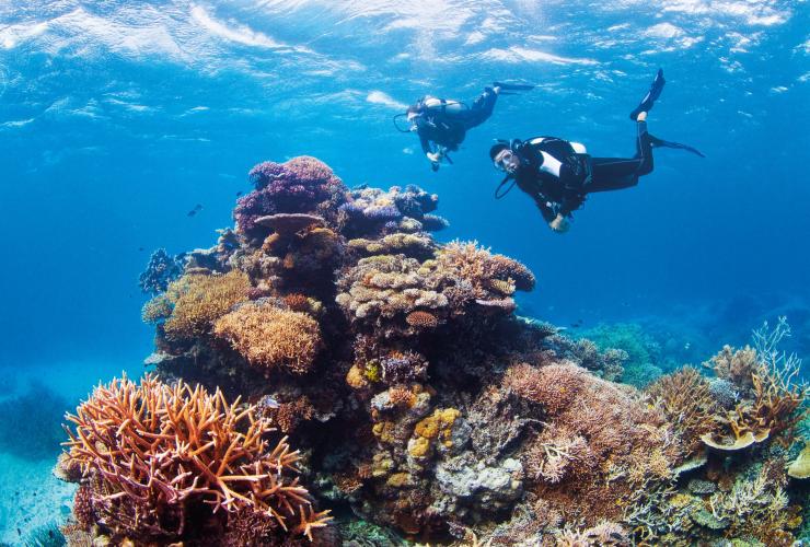 昆士兰州，大堡礁，丝带礁，挑战者湾 © 昆士兰州旅游及活动推广局，Darren Jew 版权所有