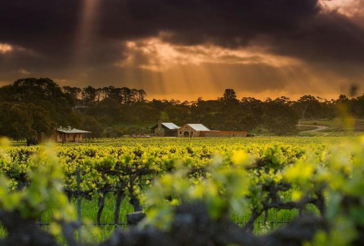南澳大利亚州阿德莱德芭萝莎谷，阳光穿过圣雨果酒庄上空的乌云 © 圣雨果酒庄版权所有