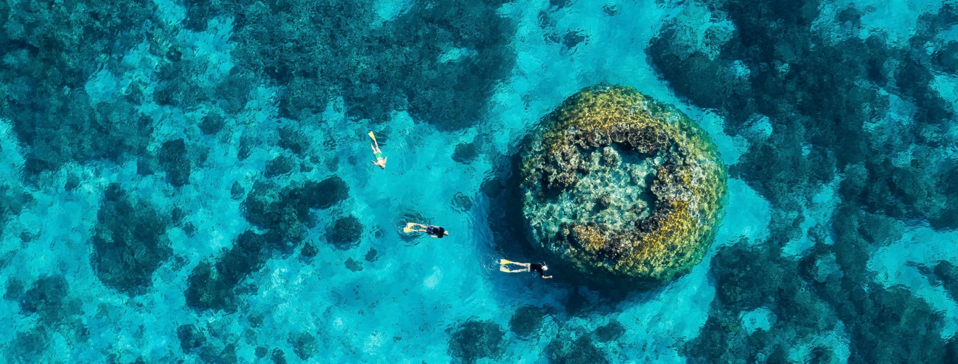 昆士兰州，威尔逊岛，大堡礁，浮潜 © 昆士兰州旅游及活动推广局版权所有
