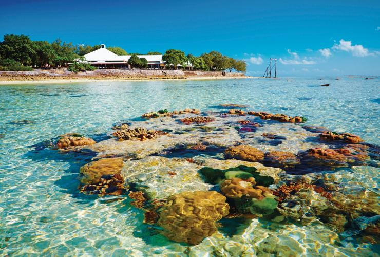 昆士兰州，大堡礁，海龙岛 © 昆士兰州旅游及活动推广局版权所有