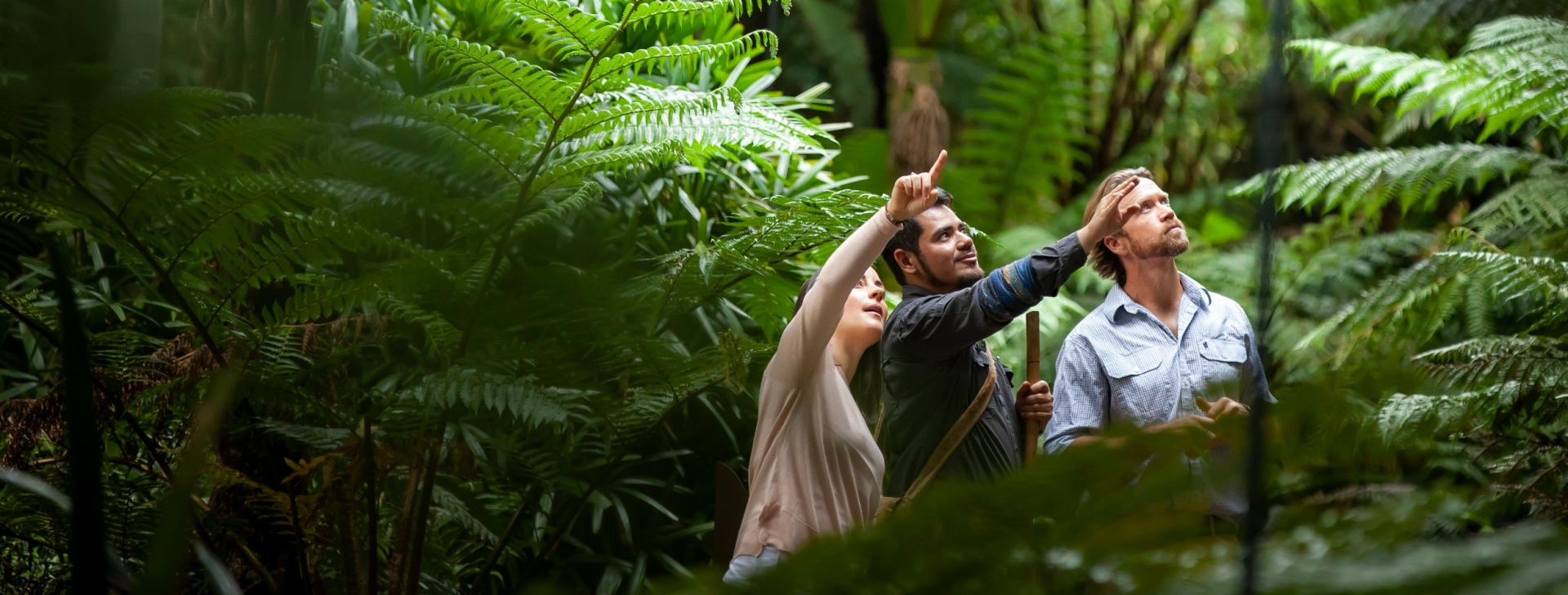 维多利亚州，墨尔本，皇家植物园原住民遗产之旅 © 澳大利亚旅游局版权所有