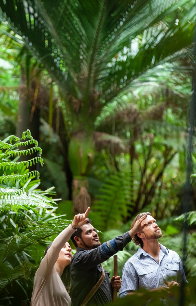 维多利亚州，墨尔本，皇家植物园原住民遗产之旅 © 澳大利亚旅游局版权所有