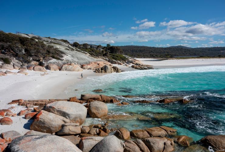 踏上乌卡利纳徒步之旅，沿着风景壮丽的海滩漫步，感受大自然蕴含的力量 © 澳大利亚旅游局版权所有