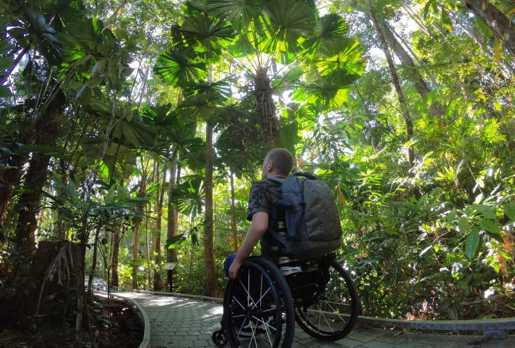 昆士兰州，一位坐轮椅的男子在欣赏戴恩树热带雨林的树冠 © 昆士兰州旅游及活动推广局版权所有