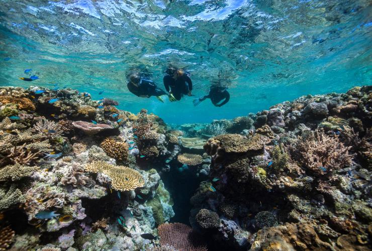 昆士兰州，大堡礁，圣灵群岛，Sinker 礁 © 昆士兰州旅游及活动推广局版权所有