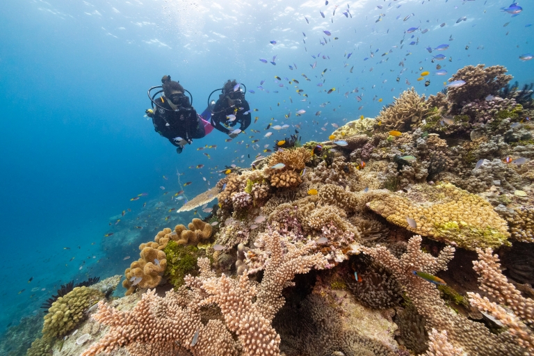 昆士兰州，大堡礁，约翰 · 布鲁尔礁 © 昆士兰州旅游及活动推广局版权所有