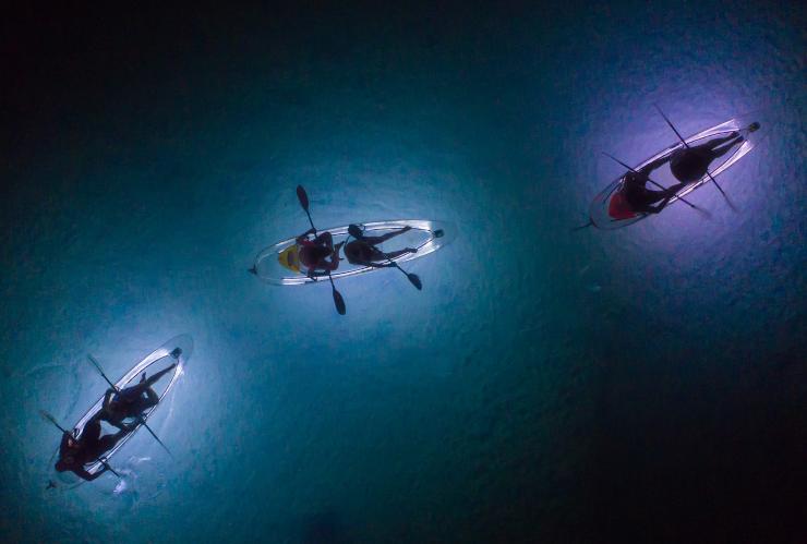 昆士兰州，摩顿岛，日落旅游公司夜间皮划艇之旅 © 日落旅游公司版权所有