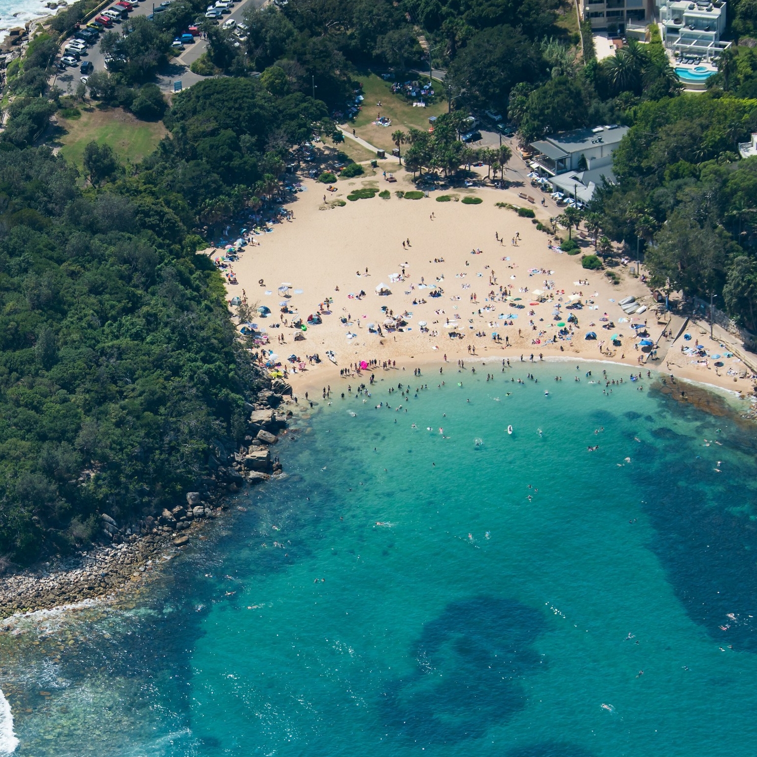 悉尼雪莉海滩鸟瞰图 © 新南威尔士州旅游局版权所有