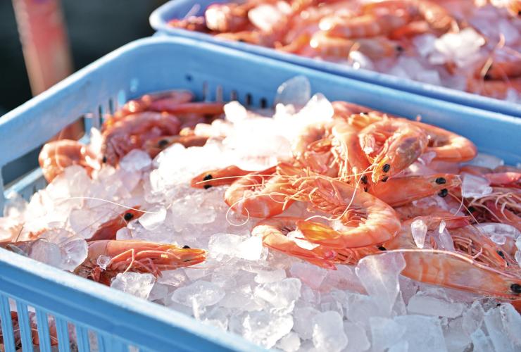 莫罗拉巴的冰鲜对虾 © 昆士兰州旅游及活动推广局版权所有