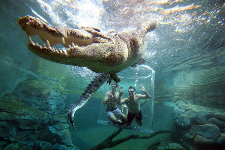 鳄鱼主题公园一位游客乘坐“死亡之笼”观赏咸水鳄 © 北领地旅游局/Shaana McNaught 版权所有