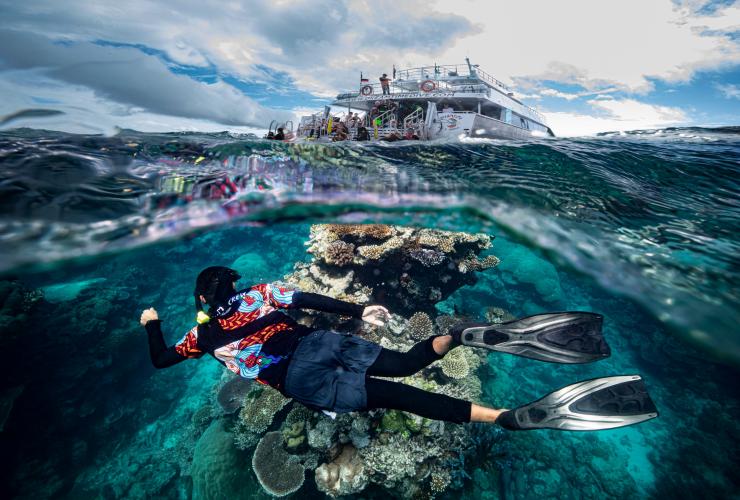 昆士兰州，凯恩斯，梦幻时光潜水和浮潜之旅 © 澳大利亚旅游局版权所有
