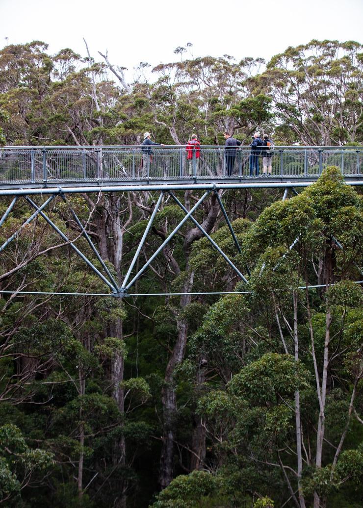 西澳大利亚州，沃尔波尔，巨人谷 © 澳大利亚旅游局版权所有