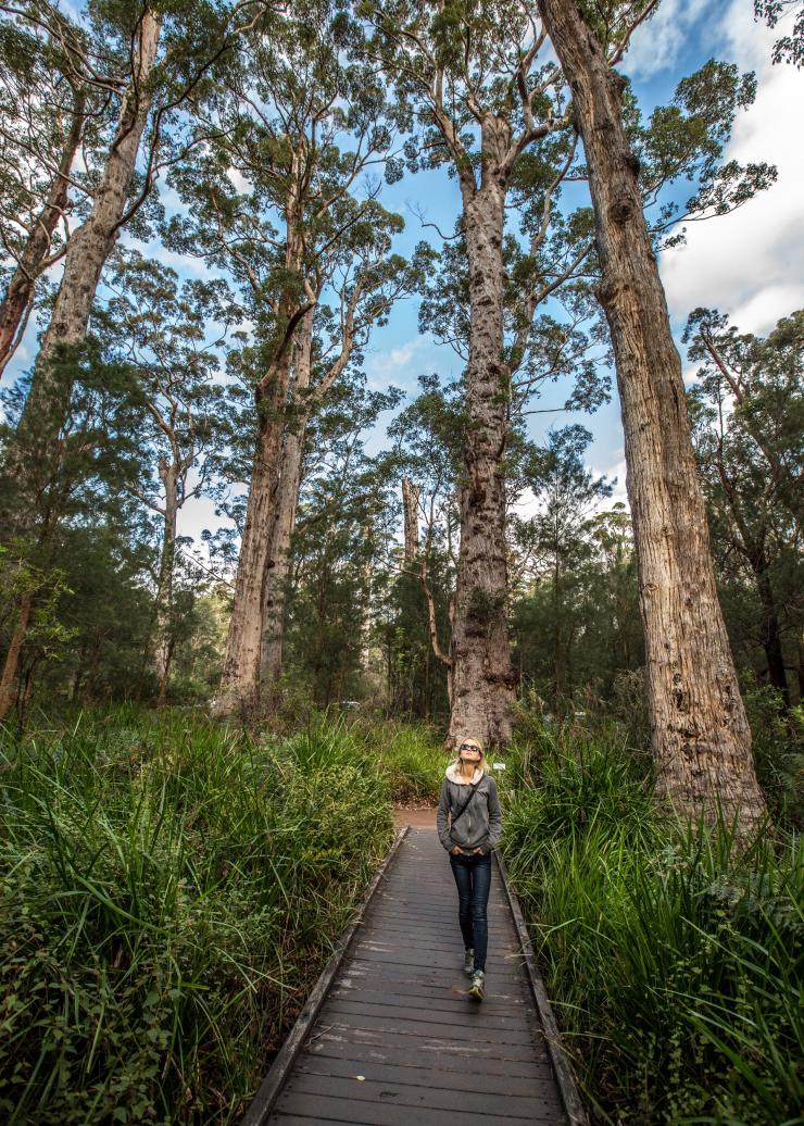 西澳大利亚州，沃尔波尔，巨人谷 © Greg Snell Photography 版权所有