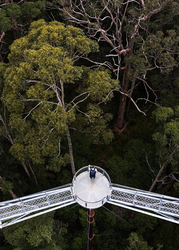 西澳大利亚州，沃尔波尔，巨人谷 © 澳大利亚旅游局版权所有