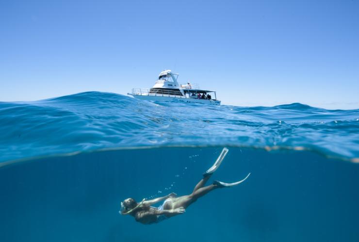 昆士兰州，大堡礁，洛德斯通礁令人兴奋的潜水和浮潜体验 © Townsville Enterprise Ltd 版权所有