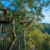 新南威尔士州，蓝山，瓦勒迈森林 © 瓦勒迈小屋（Wollemi Cabins）版权所有