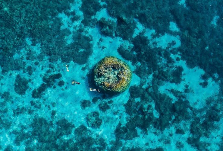 昆士兰州，威尔逊岛，珊瑚礁浮潜者 © 昆士兰州旅游及活动推广局版权所有