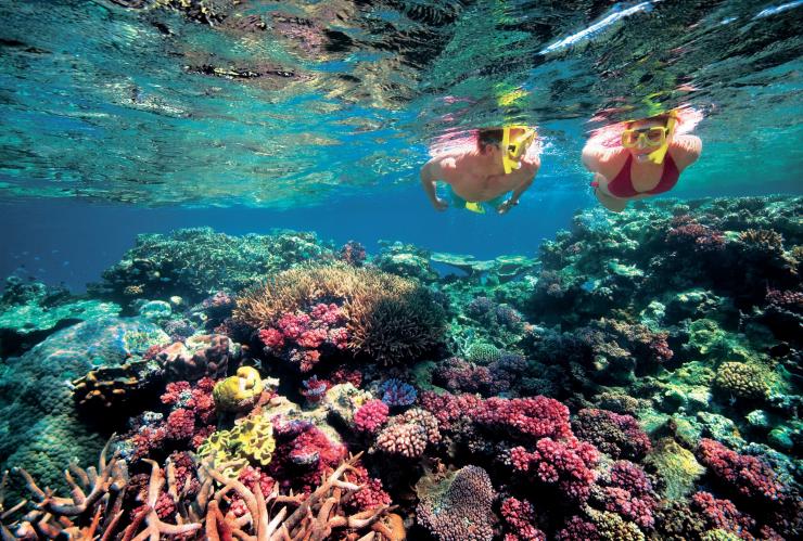 昆士兰州，大堡礁，阿金考特礁，浮潜 © 昆士兰州旅游及活动推广局版权所有