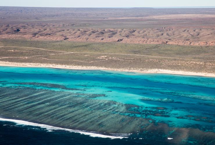 西澳大利亚州，俯瞰宁加洛珊瑚礁海岸线 © 西澳大利亚州旅游局版权所有