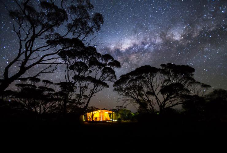 南澳大利亚州，高勒山脉，康加鲁马露营大篷车 © John White 版权所有
