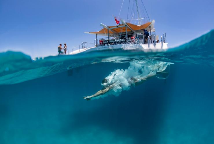 昆士兰州，麦基湾，Sailaway 巡游期间一个人从船上潜入清澈湛蓝海水的一半水上一半水下的照片 © 昆士兰州旅游及活动推广局版权所有