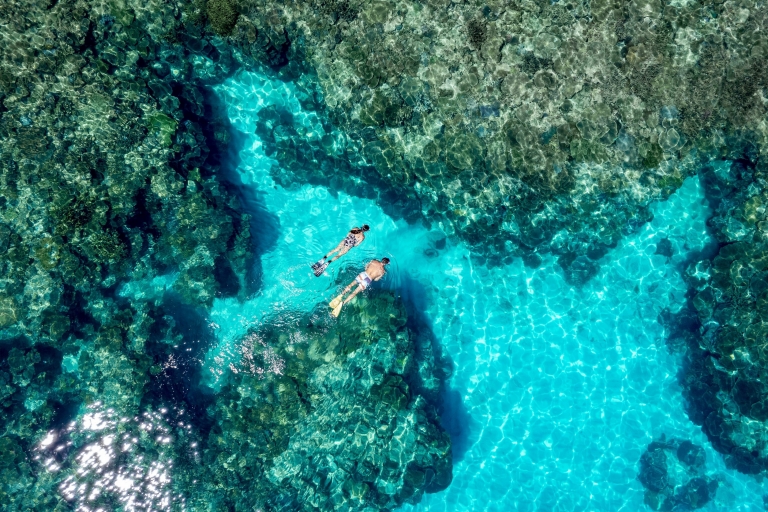 昆士兰州，南大堡礁，海龙岛 © 昆士兰州旅游及活动推广局版权所有