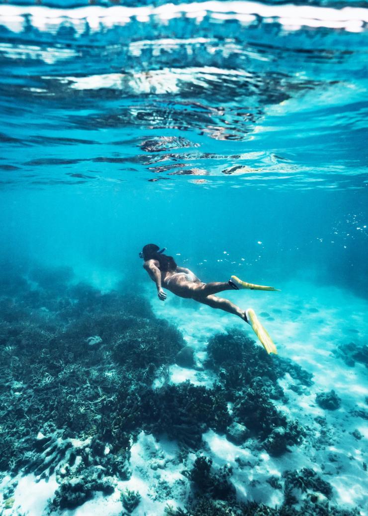 昆士兰州，海龙岛，浮潜 © James Vodicka 版权所有
