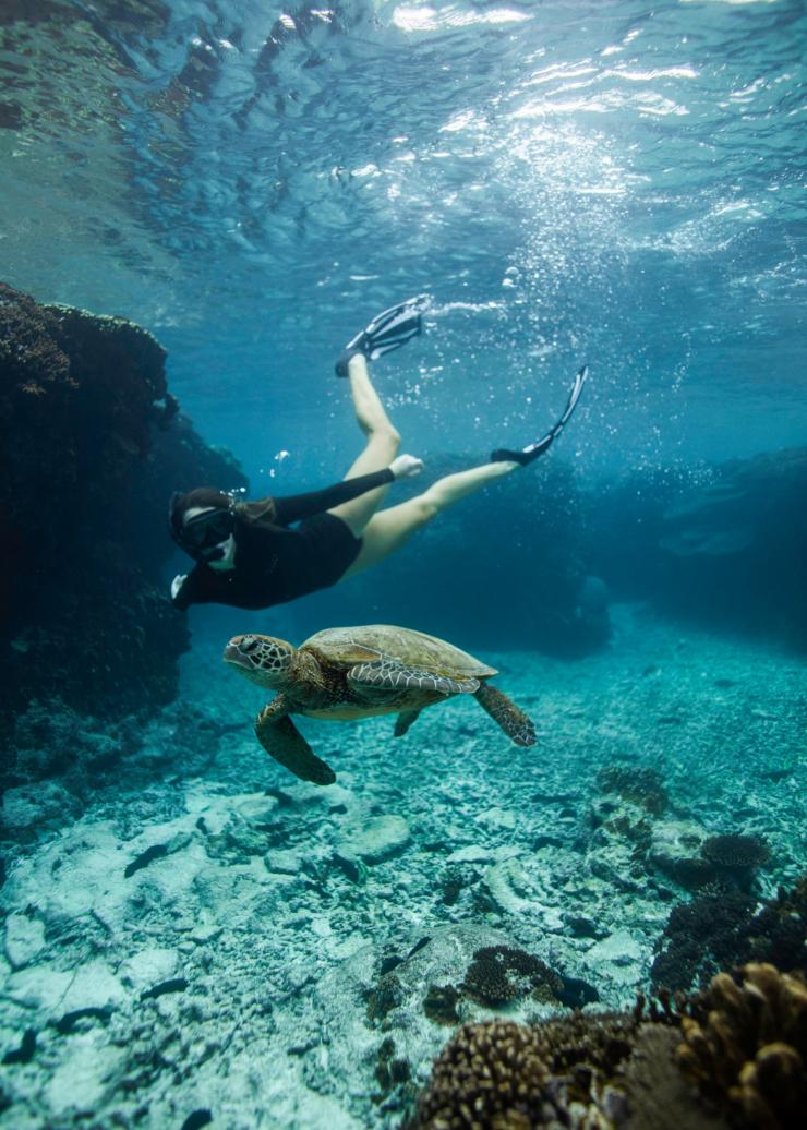 昆士兰州，大堡礁，伊利特女士岛 © 昆士兰州旅游及活动推广局版权所有