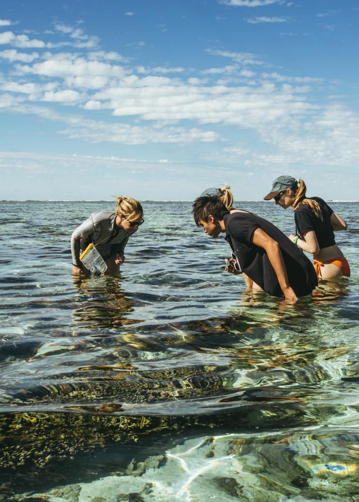 昆士兰州，大堡礁，伊利特女士岛 © 澳大利亚旅游局版权所有