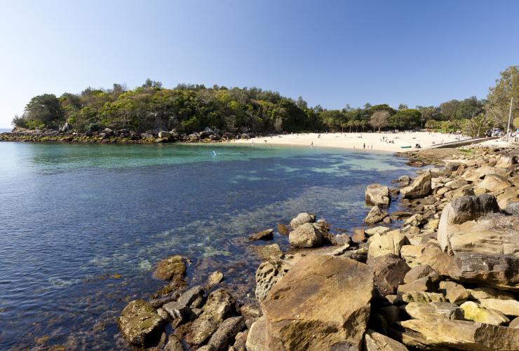 新南威尔士州，曼利镇，雪莉海滩 © Andrew Gregory/新南威尔士州旅游局版权所有