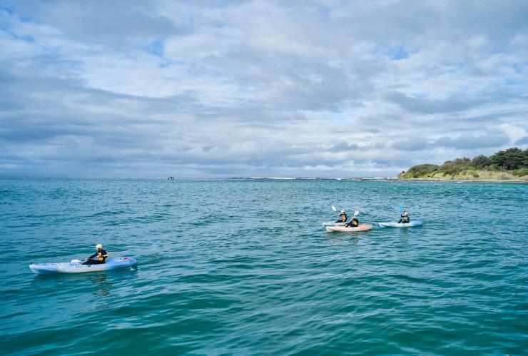维多利亚州，大洋路，Apollo Bay Surf & Kayak 冲浪学校 © 澳大利亚旅游局版权所有