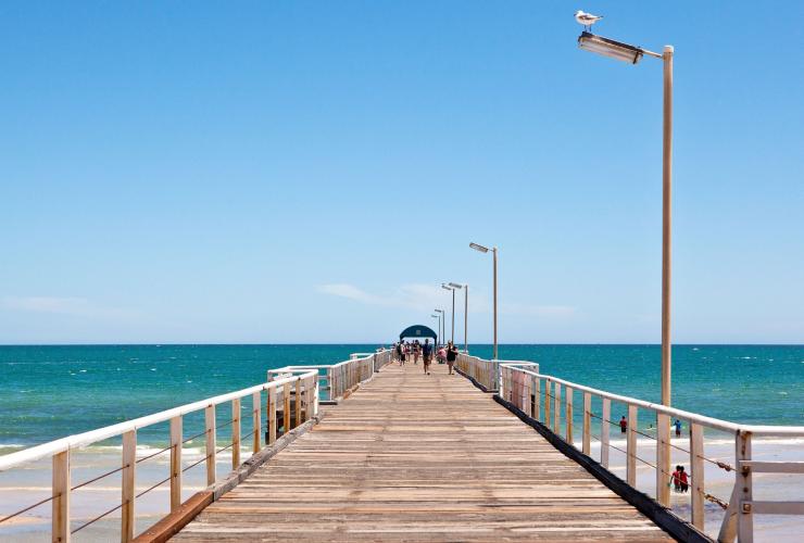 南澳大利亚州，阿德莱德，亨利海滩 © 南澳大利亚旅游局版权所有
