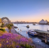 新南威尔士州，悉尼，日落时分的蓝花楹和悉尼海港 © 新南威尔士州旅游局版权所有