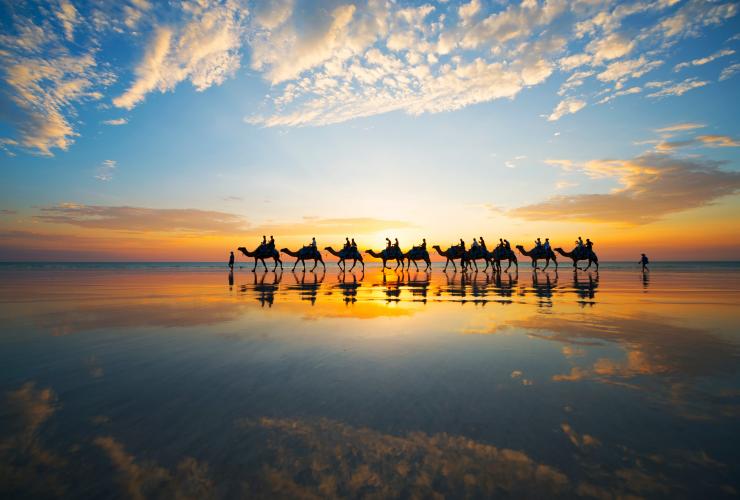 西澳大利亚州，布鲁姆，凯布尔海滩，驼队 © Lauren Bath 版权所有