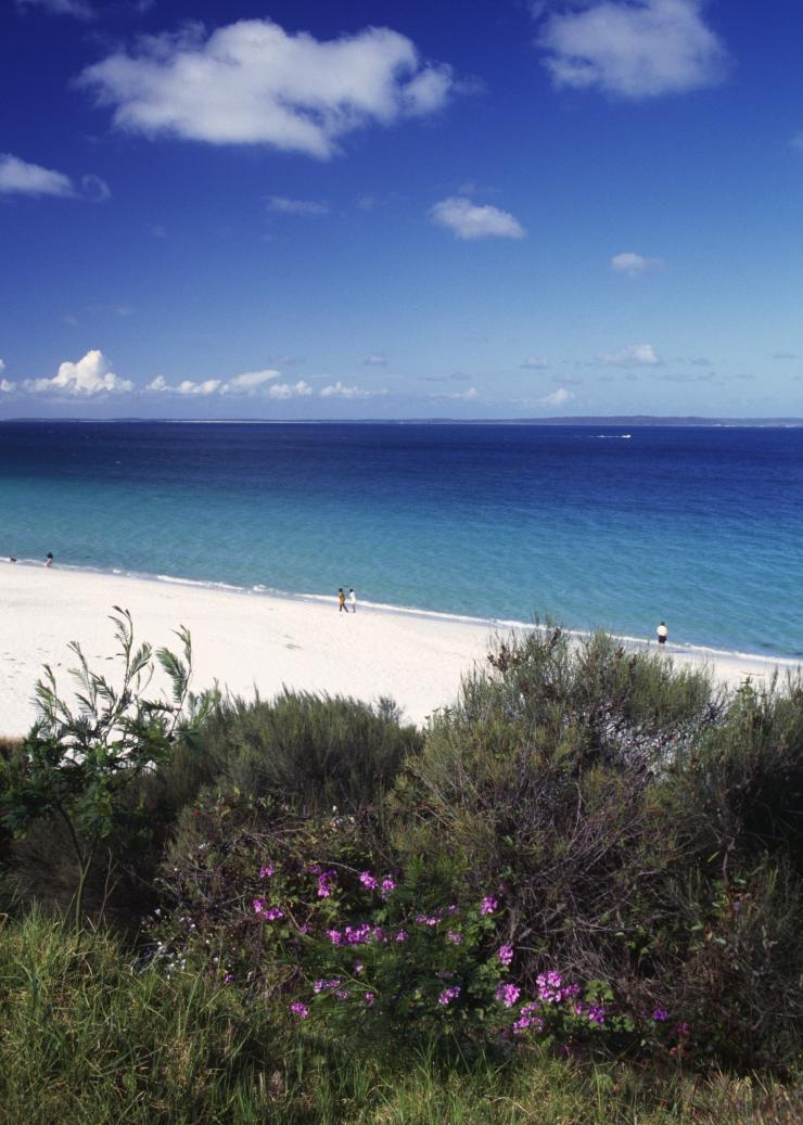 新南威尔士州，杰维斯湾，海厄姆海滩 © 澳大利亚旅游局版权所有