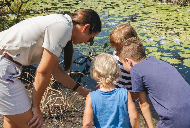 昆士兰州，卡丽岛，翠鸟湾度假村，一群参加少年生态探险队的孩子站在长满睡莲的湿地旁，护林员指着水中的一些东西 © 翠鸟湾度假村版权所有