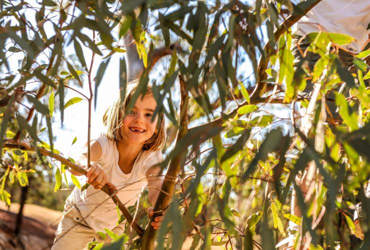 南澳大利亚州，弗林德斯山脉，一个微笑的小女孩从温斯尼公园牧场的树丛间探出头来 © 南澳大利亚旅游局版权所有