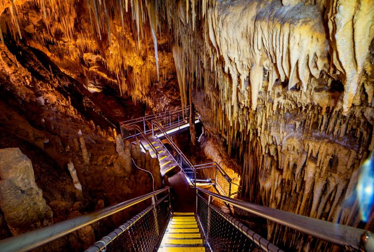 塔斯马尼亚州，侯恩谷，哈斯丁洞穴和温泉，纽德盖特洞穴 © Lauren Bath 版权所有