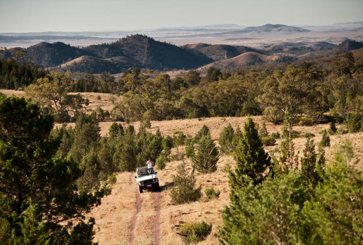 南澳大利亚州，弗林德斯山脉，两个人驾驶四驱车在阿卡巴自然资源保护区的草地林木间穿梭，体验游猎之旅 © 南澳大利亚旅游局版权所有