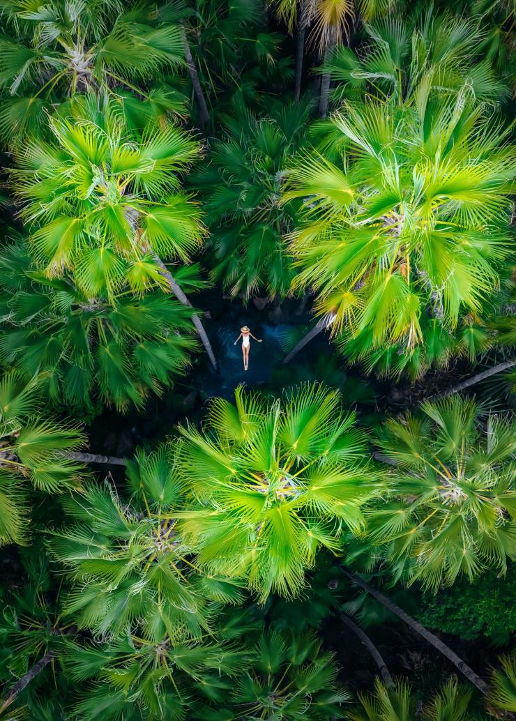 西澳大利亚州，金伯利，透过埃尔奎斯特荒野公园生机勃勃的绿色棕榈树树冠的缝隙，一位女士漂浮在泽比第泉的蓝色水面上 © 澳大利亚旅游局版权所有