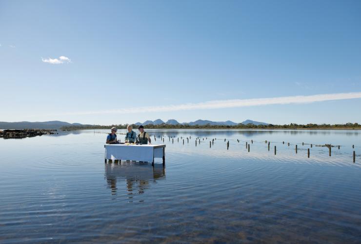 塔斯马尼亚州，赛菲尔菲欣纳酒店，两个人跟着向导站在菲欣纳海洋生蚝农场的水中，参加生蚝品尝美食体验 © 塔斯马尼亚旅游局版权所有