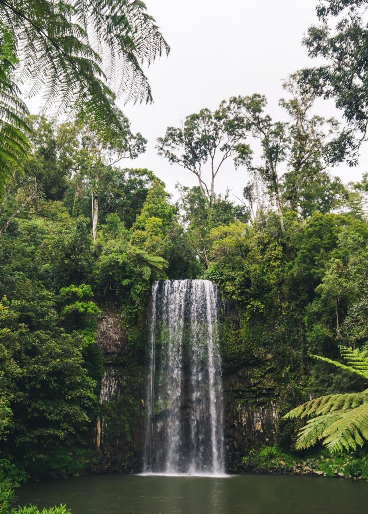昆士兰州，米拉米拉，米拉米拉瀑布 © Scott Pass 版权所有