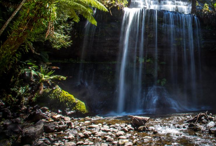 塔斯马尼亚州，菲尔山，菲尔山国家公园，罗诗瀑布 © 澳大利亚旅游局版权所有